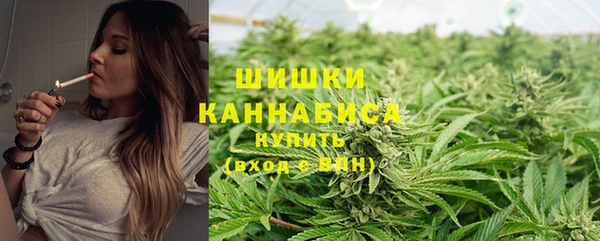 jwh Алзамай