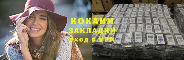 кокс Алексин