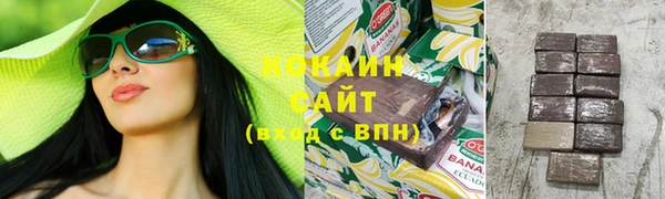 кокс Алексин