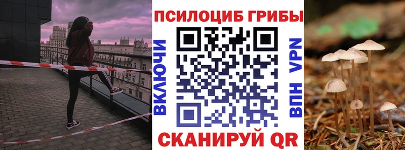 Псилоцибиновые грибы GOLDEN TEACHER  Минусинск 